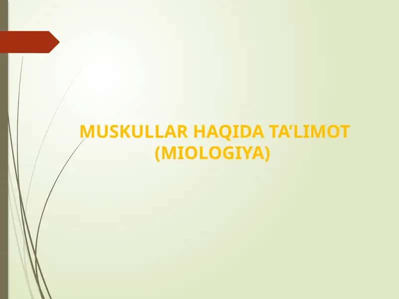 MUSKULLAR HAQIDA TA’LIMOT (MIOLOGIYA)