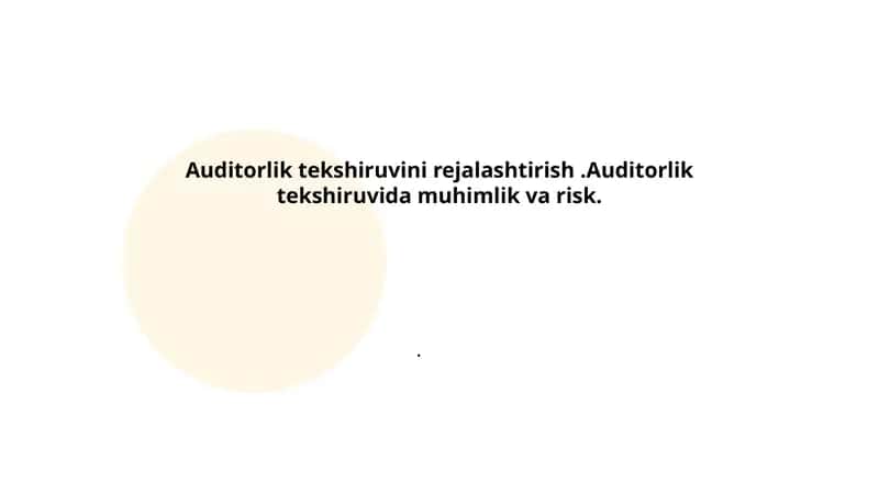 Auditorlik tekshiruvini rejalashtirish