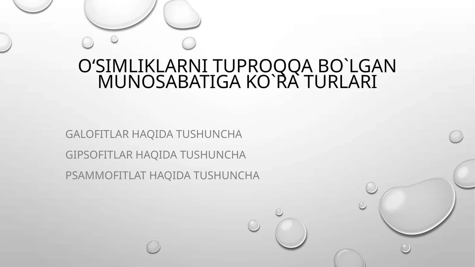 Qumli cho‘lda o‘suvchan yalpi 320 turning 174 tasi qumni sevuvchi
