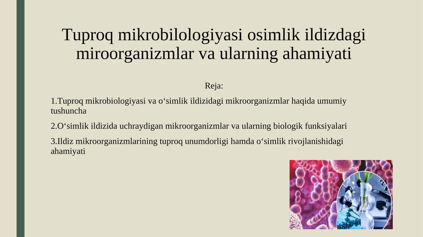 Tuproq mikrobilologiyasi osimlik ildizdagi miroorganizmlar va ularning ahamiyati