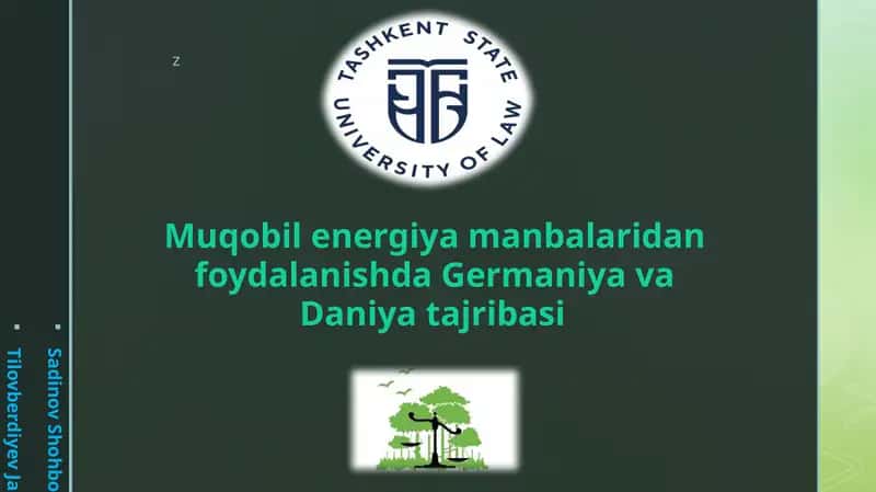 Muqobil energiya manbalaridan foydalanishda Germaniya va Daniya ta'jribasi