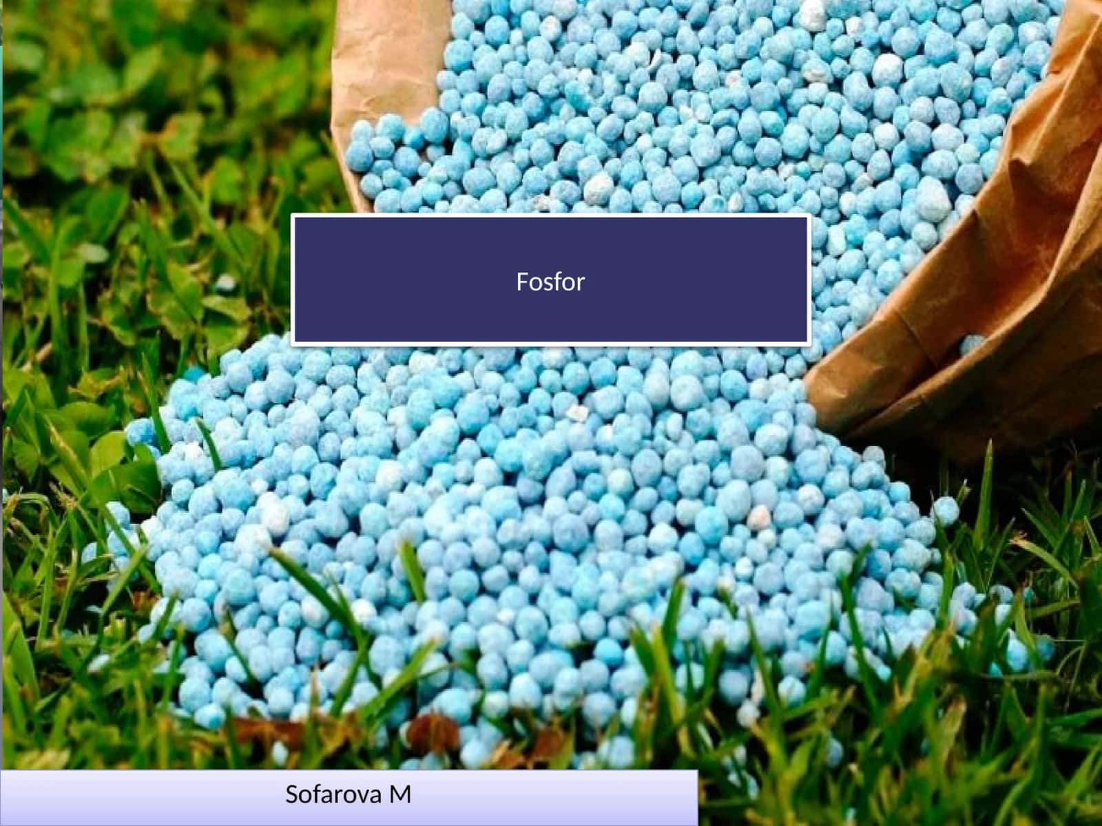 Fosfor