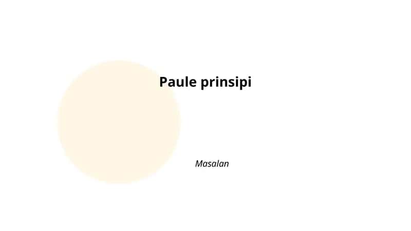 Pauli prinsipi