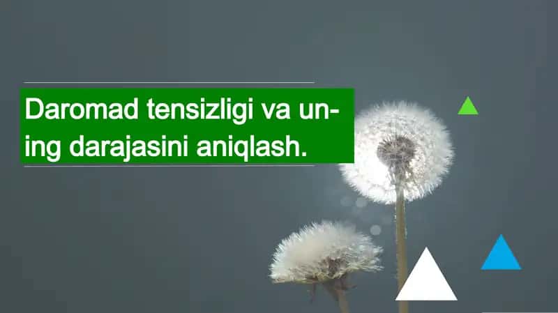 Daromad tensizligi va uning darajasini aniqlash