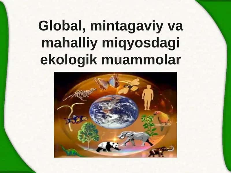 Global Ekologik Muammolar
