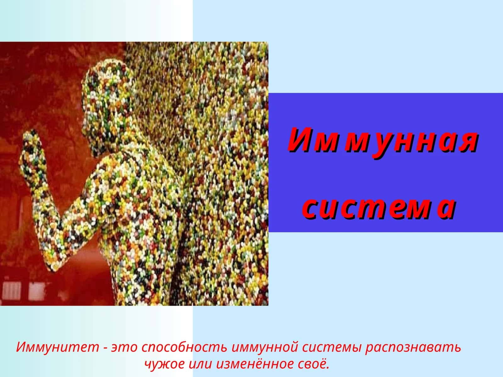 Иммунная система