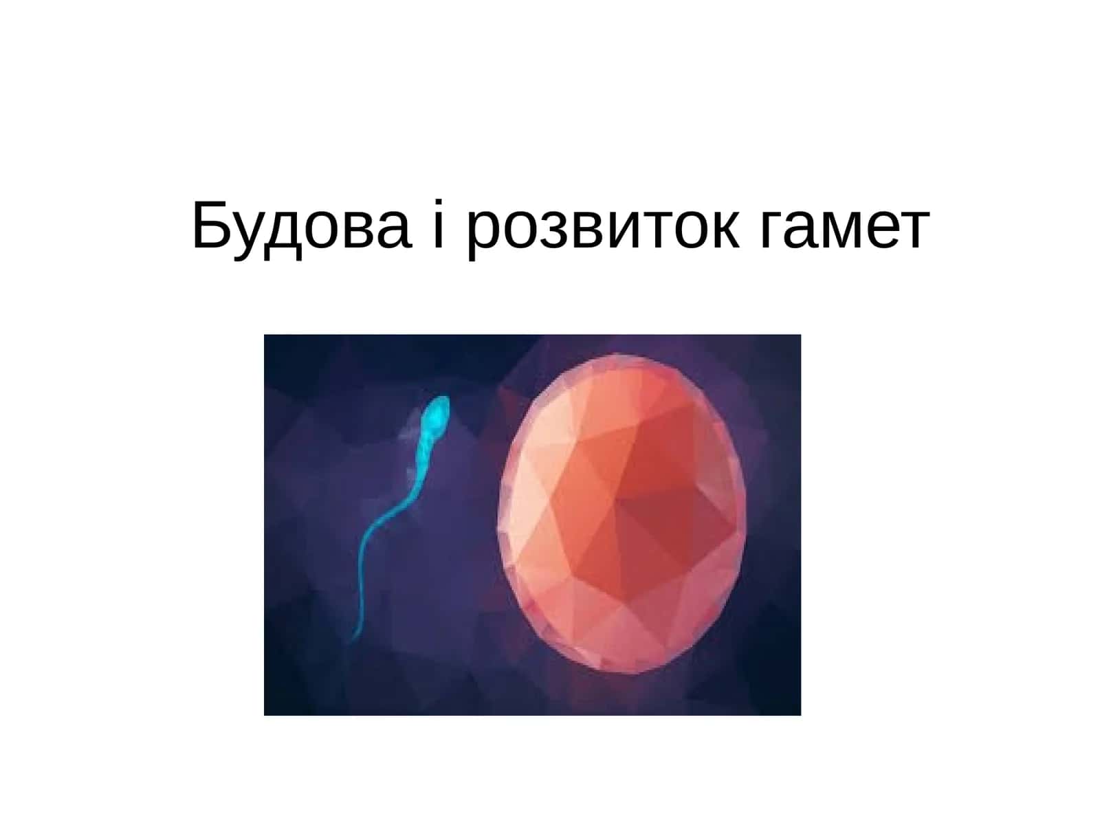 Зародкова плазма