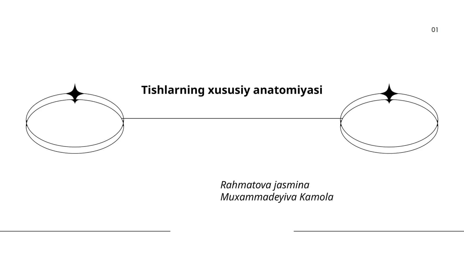 Tishlarning xususiy anatomiyasi