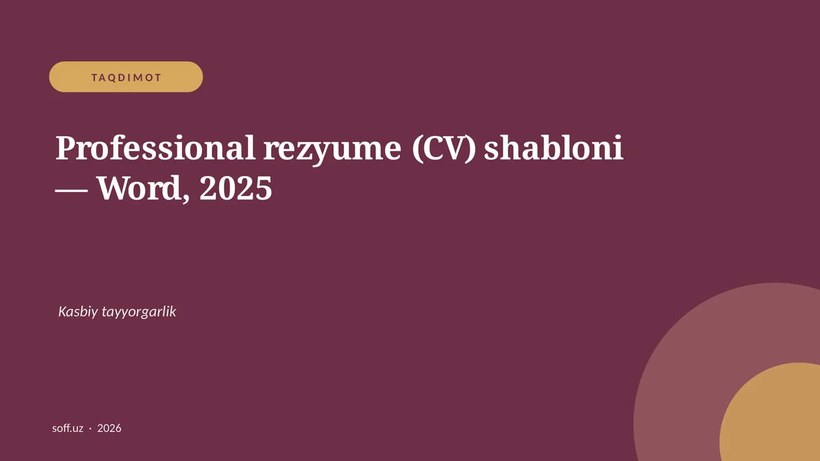 Professional rezyume (CV) shabloni — Word, 2025