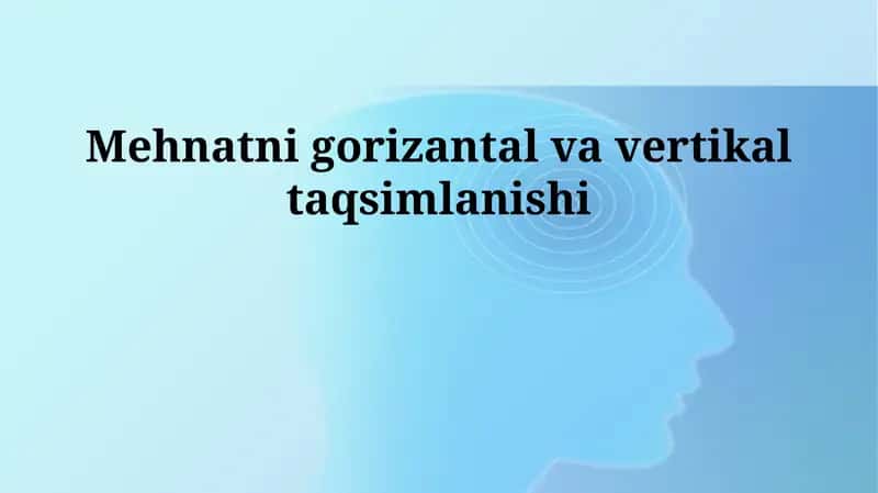 Mehnatni gorizantal va vertikal taqsimlanishi