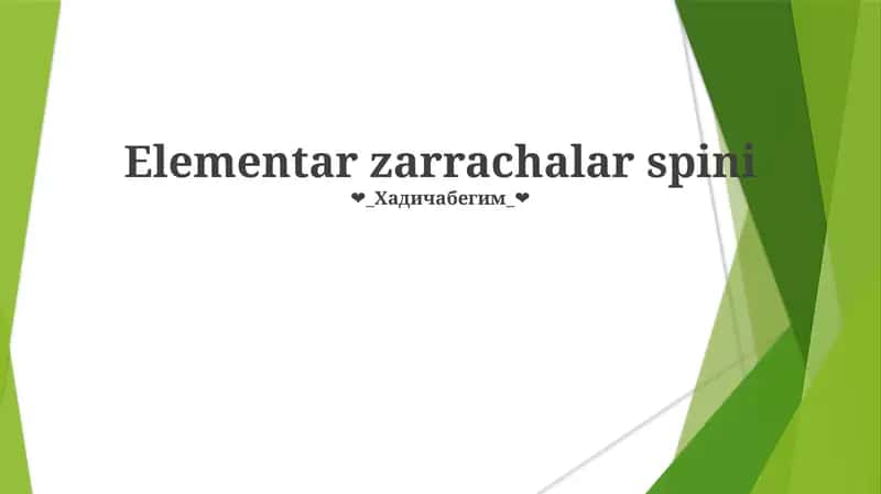 Elementar zarrachalar spini