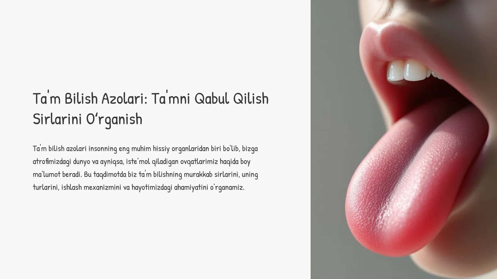 Ta'm Bilish Azolari: Ta'mni Qabul Qilish Sirlarini Oʻrganish