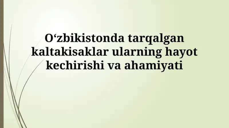 O'zbekistonda tarqalgan kaltakisaklar ularning hayot kechirishivaahamiyati