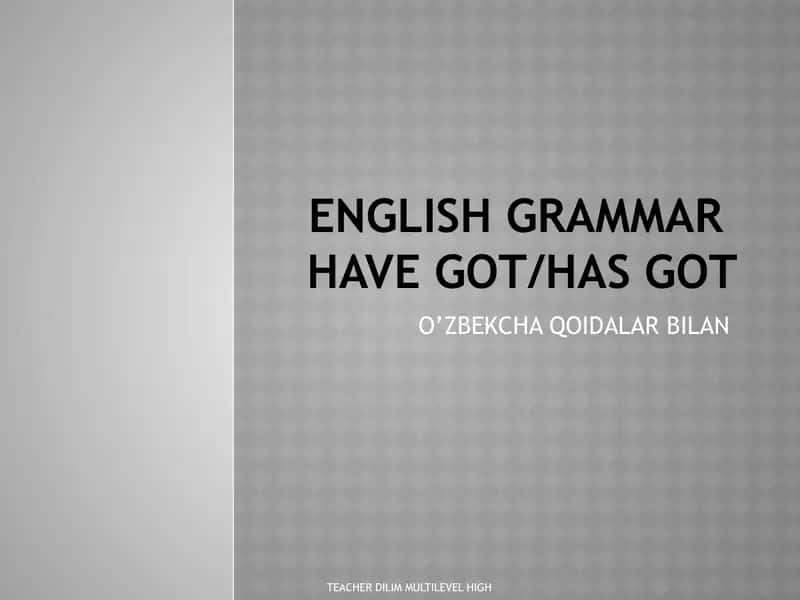 HAVE GOT /HAS GOT ENGLISH GRAMMAR O'ZBEKCHA TARJIMASI BILAN