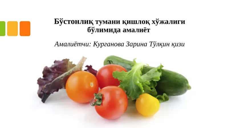 Бўстонлиқ тумани қишлоқ хўжалиги бўйича умумий маълумот