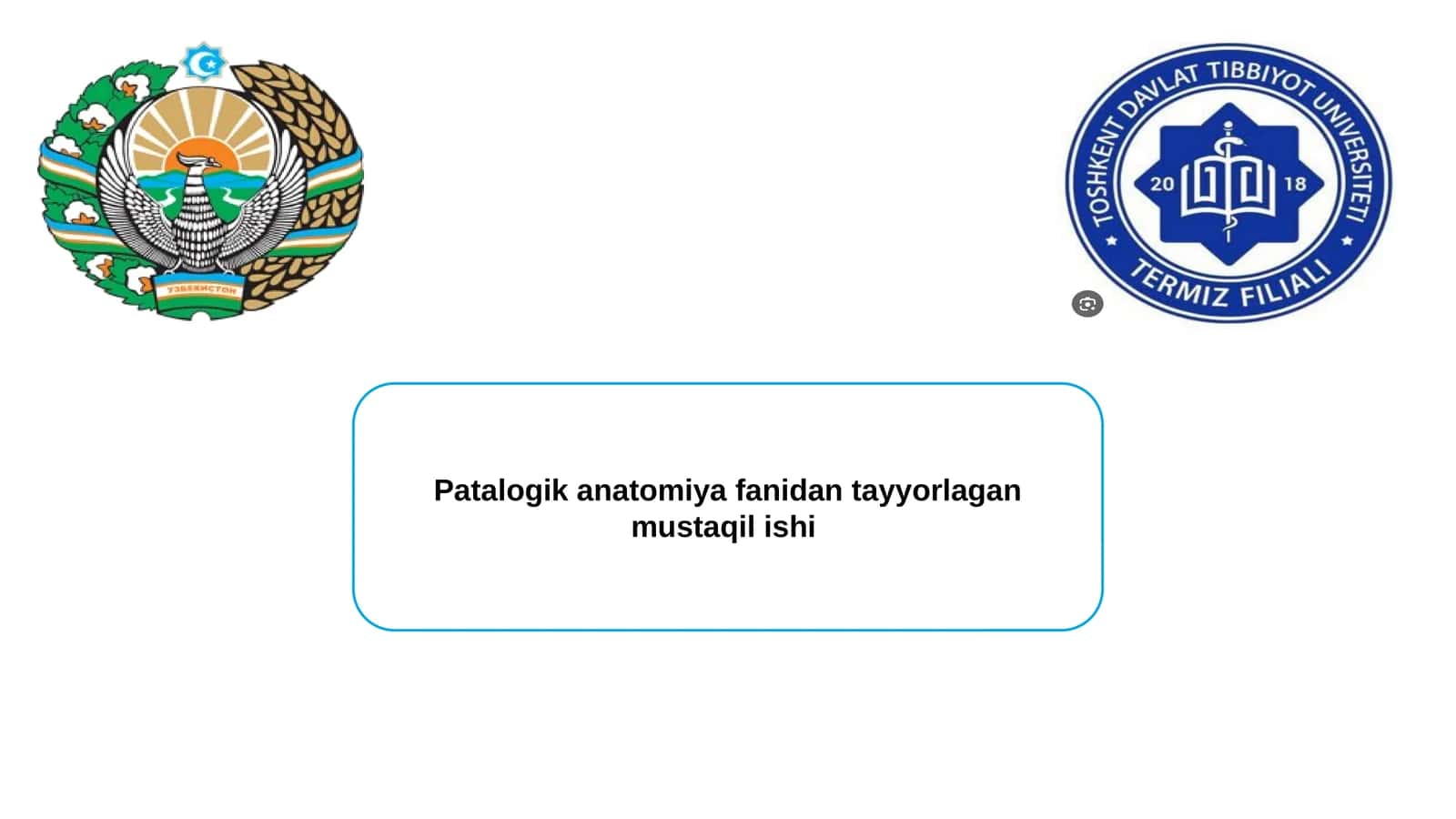 Oʻpkaning obstruktiv va restriktiv kasalliklari, o'smalar va plevra kasalliklari