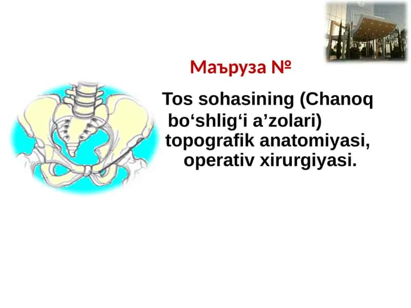 Tos sohasining (Chanoq bo‘shlig‘i a’zolari) topografik anatomiyasi, operativ xirurgiyasi.