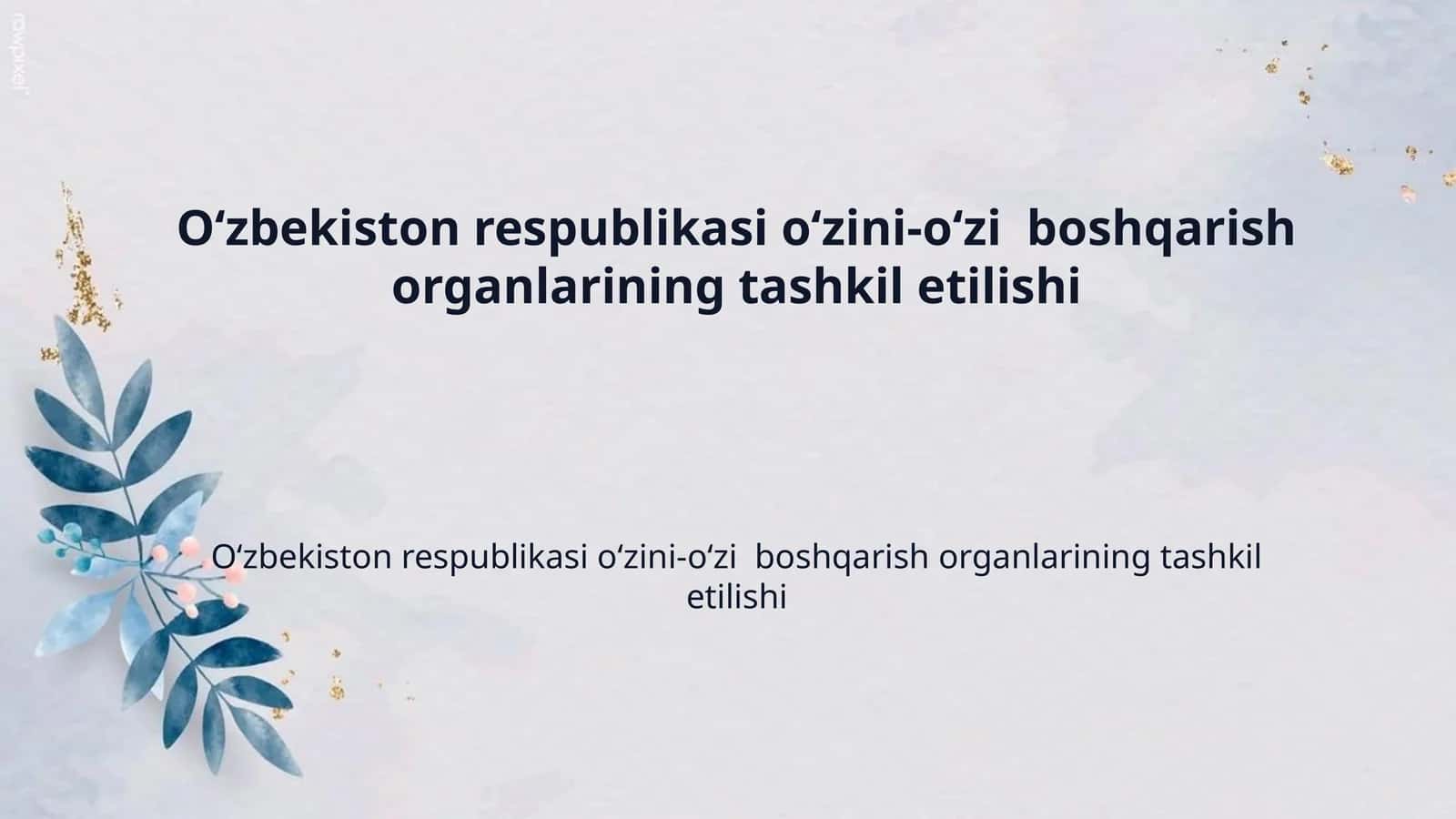 Oʻzbekiston respublikasi oʻzini-oʻzi boshqarish organlarining tashkil etilishi