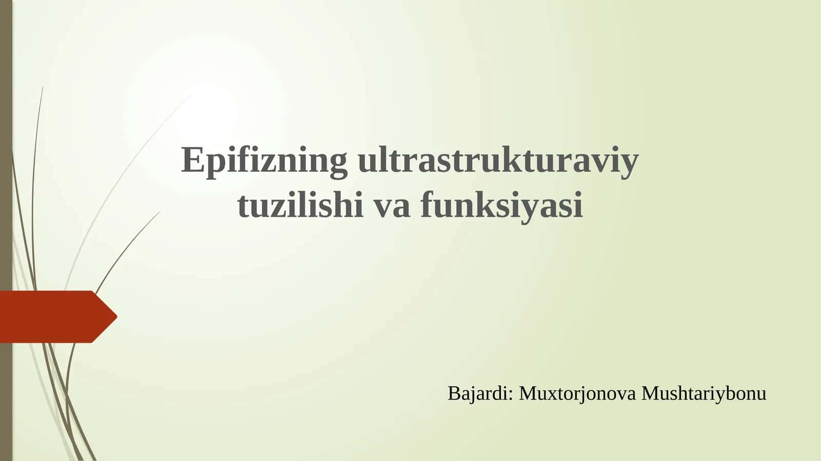 Epifizning ultratuzilishi va funksiyasi