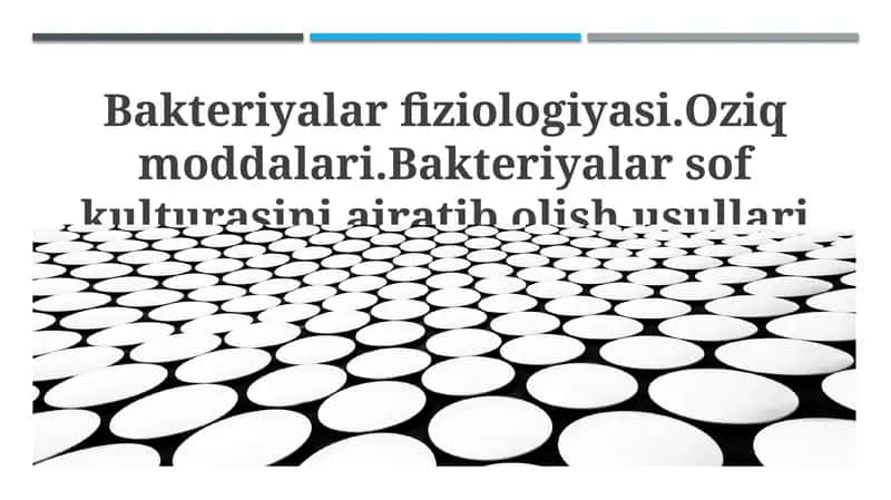 Bakteriyalar fiziologiyasi.Oziq moddalari.Bakteriyalar sof kulturasini ajratib olish usullari