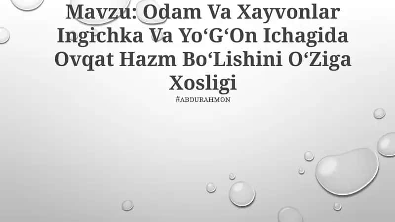 Odam Va Xayvonlar Ingichka Va Yo‘G‘On Ichagida Ovqat Hazm Bo‘Lishini O‘Ziga Xosligi