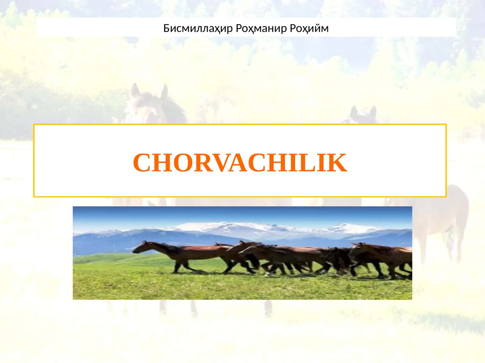 CHORVACHILIK