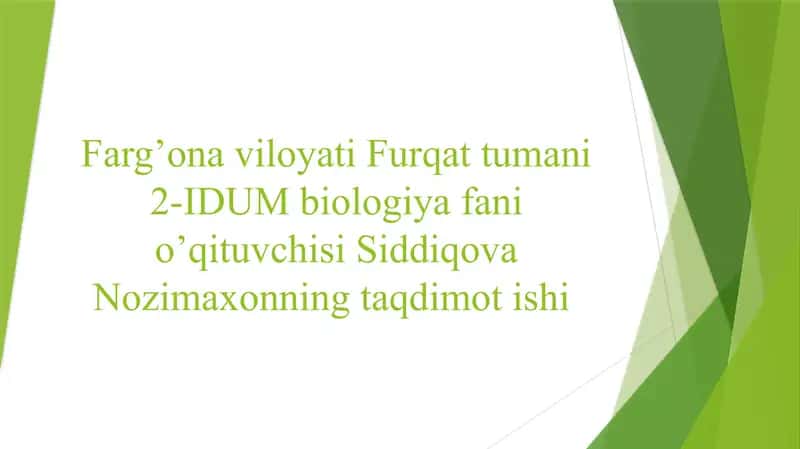 EKOLOGIK PIRAMIDA QOIDASI. BIOMASSA VA ENERGIYA PIRAMIDASI