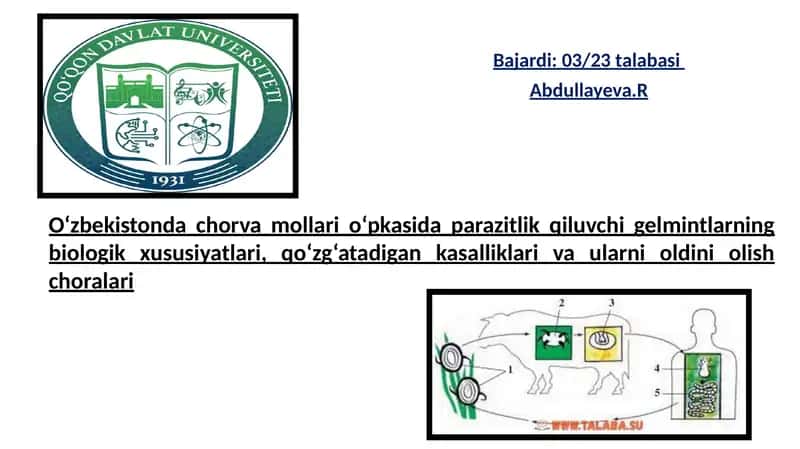 Bajardi: 03/23talabasi