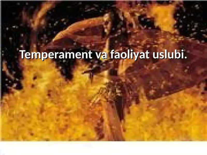 Temperament va faoliyat uslubi