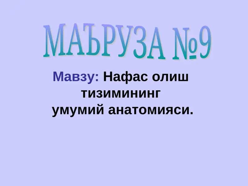 nafas olish sistemasining umumiy anatomiyasi