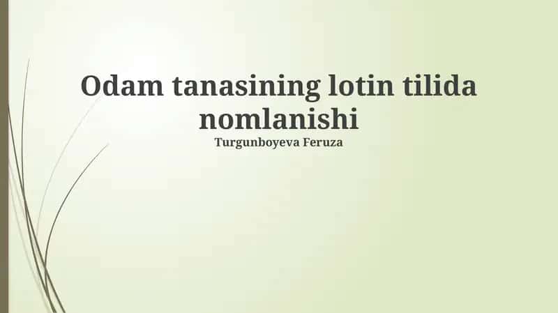 Odam tanasining lotin tilida nomlanishi