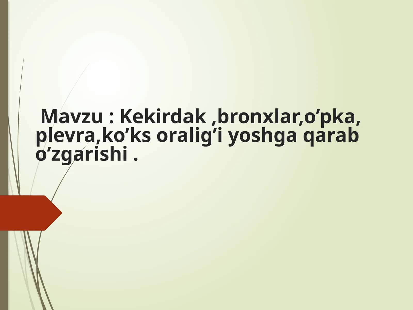 KEKIRDAK. BRONXLAR VA O'PKA