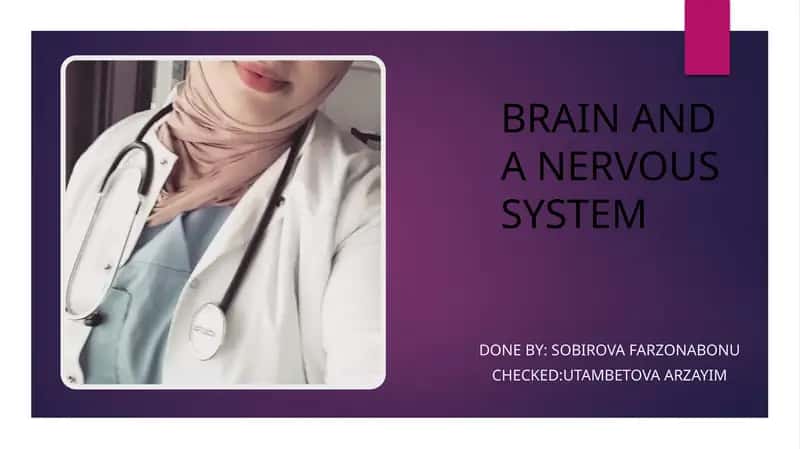 Brain and Nervous System