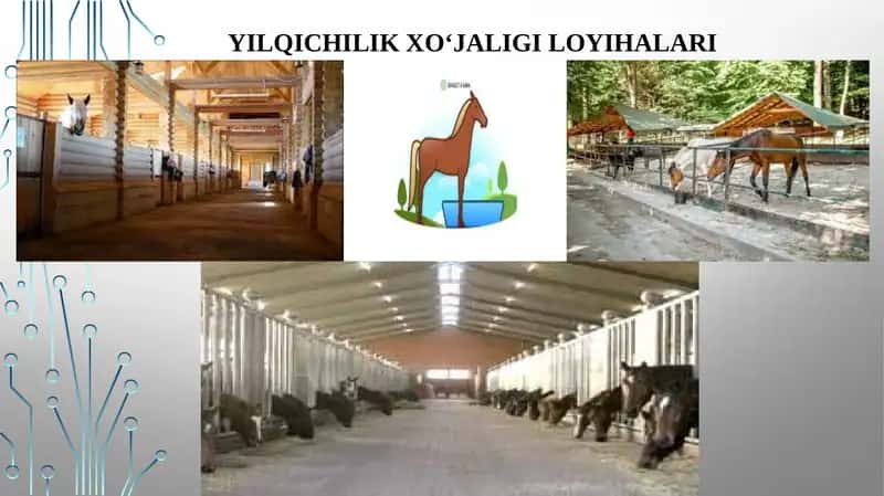 YILQICHILIK XO‘JALIGI LOYIHALARI