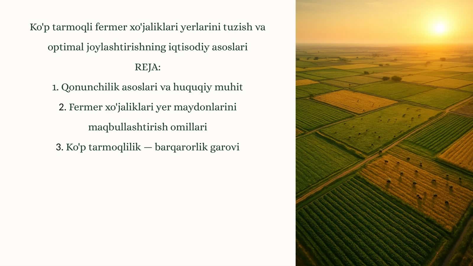 Ko'p tarmoqli fermer xo'jaliklari yerlarini tuzish va optimal joylashtirishning iqtisodiy asoslari