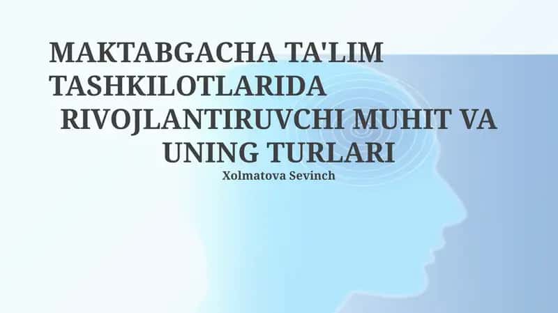 MAKTABGACHA TA'LIM TASHKILOTLARIDA RIVOJLANTIRUVCHI MUHIT VA UNING TURLARI