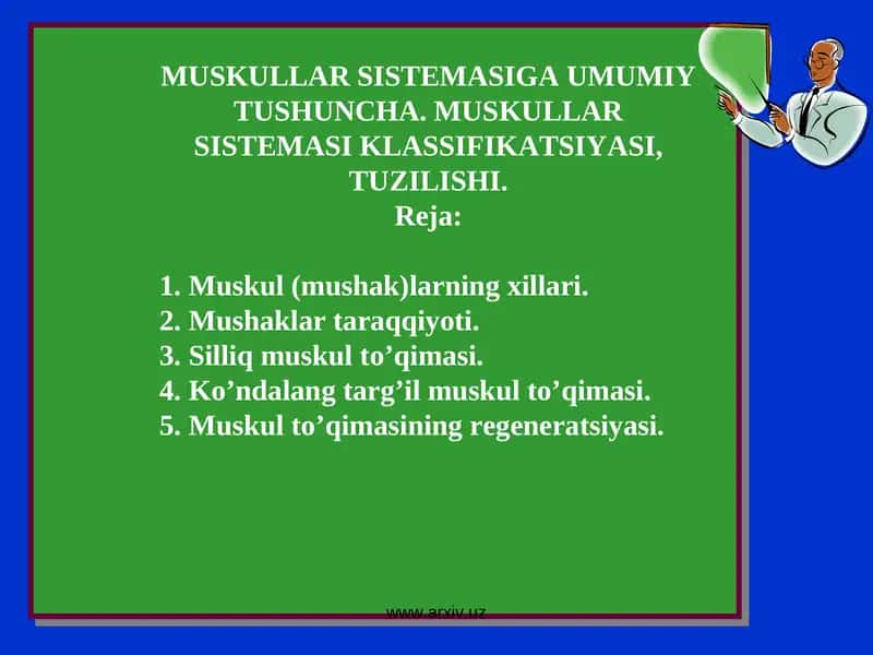 Muskullar sistemasiga umumiy tushuncha