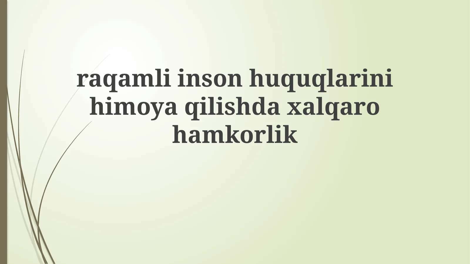 Raqamli inson huquqlarini himoya qilish daxalqarohamkorlik