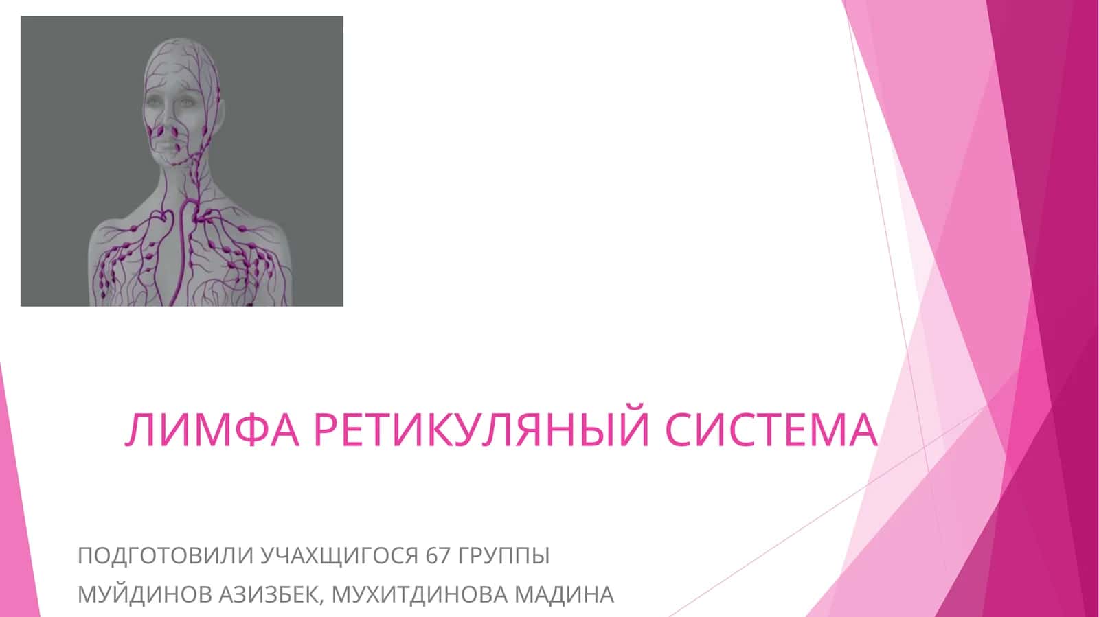 ЛИМФА РЕТИКУЛЯНЫЙ СИСТЕМА