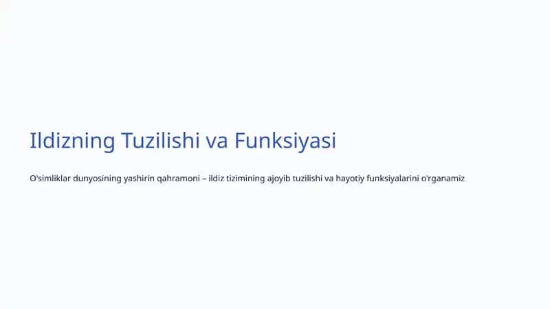Ildizning Tuzilishi va Funksiyasi