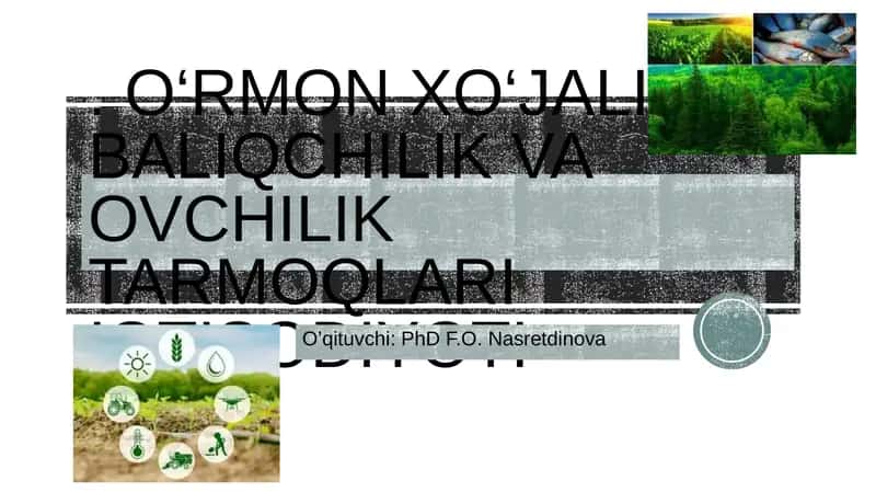 O‘RMON XO‘JALIGI, BALIQCHILIK VA OVCHILIK TARMOQLARI IQTISODIYOTI