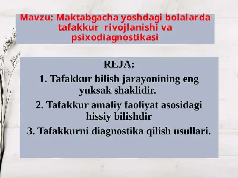 Maktabgacha yoshdagi bolalarda tafakkur rivojlanishi va psixodiagnostikasi