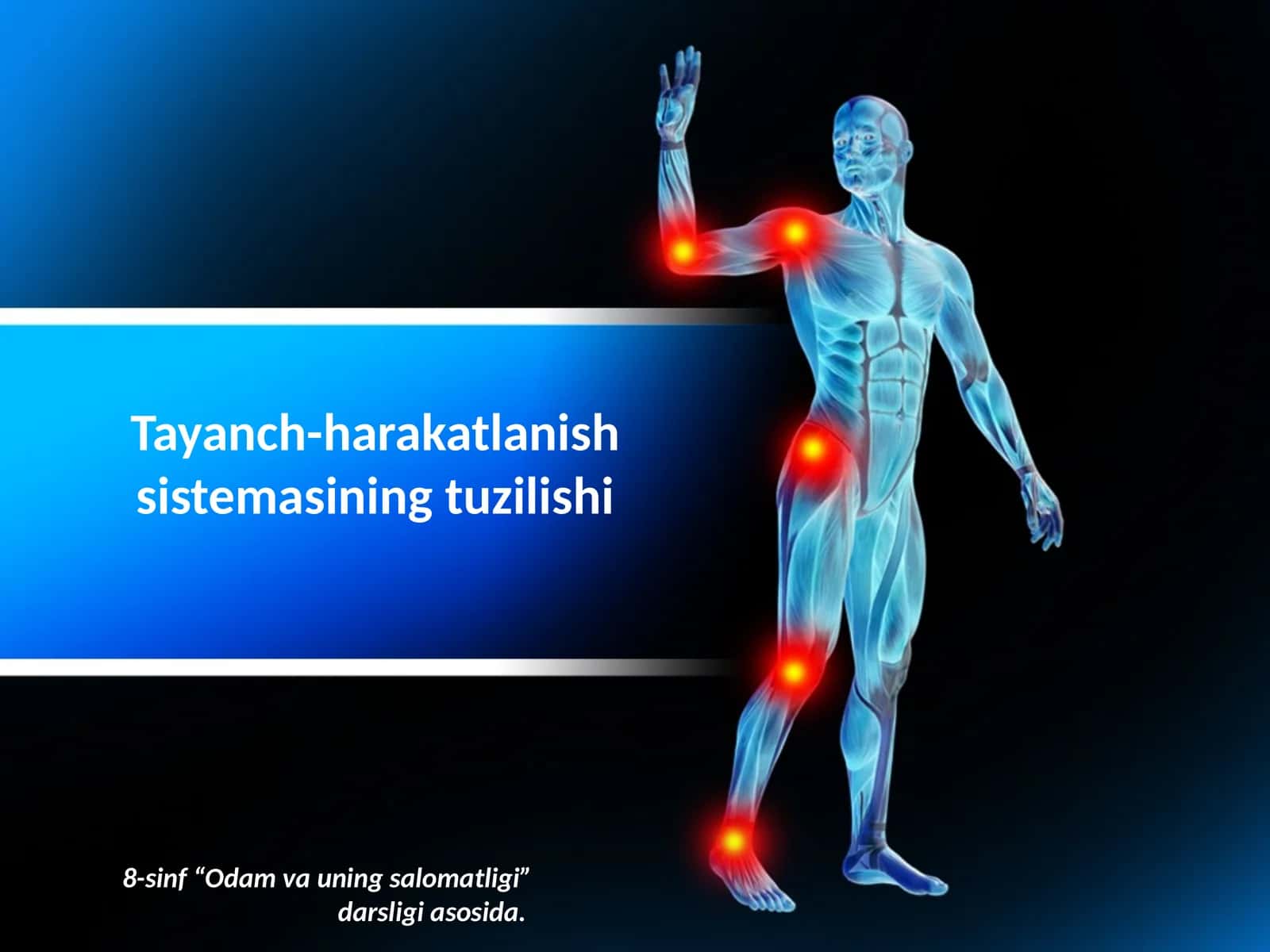 Tayanch-harakatlanish sistemasining tuzilishi