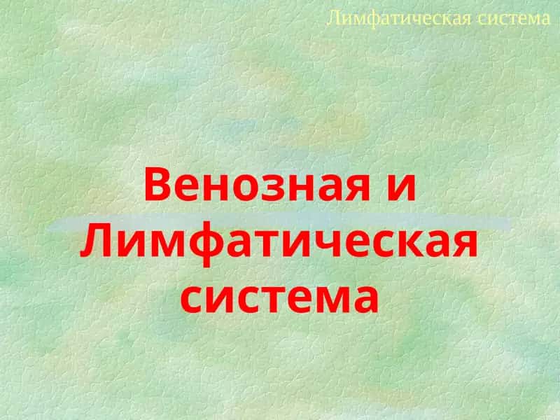 Лимфатическая система