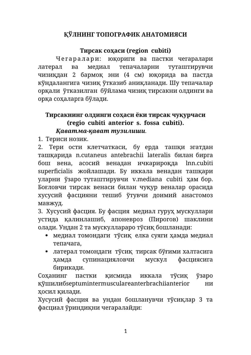 ҚЎЛНИНГ ТОПОГРАФИК АНАТОМИЯСИ