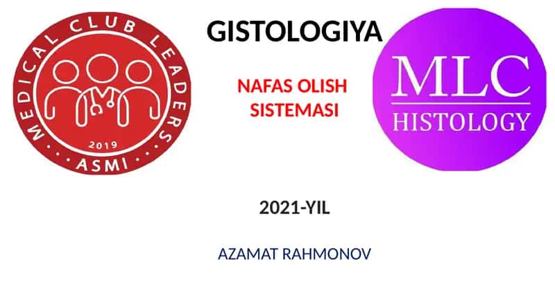 GISTOLOGIYA