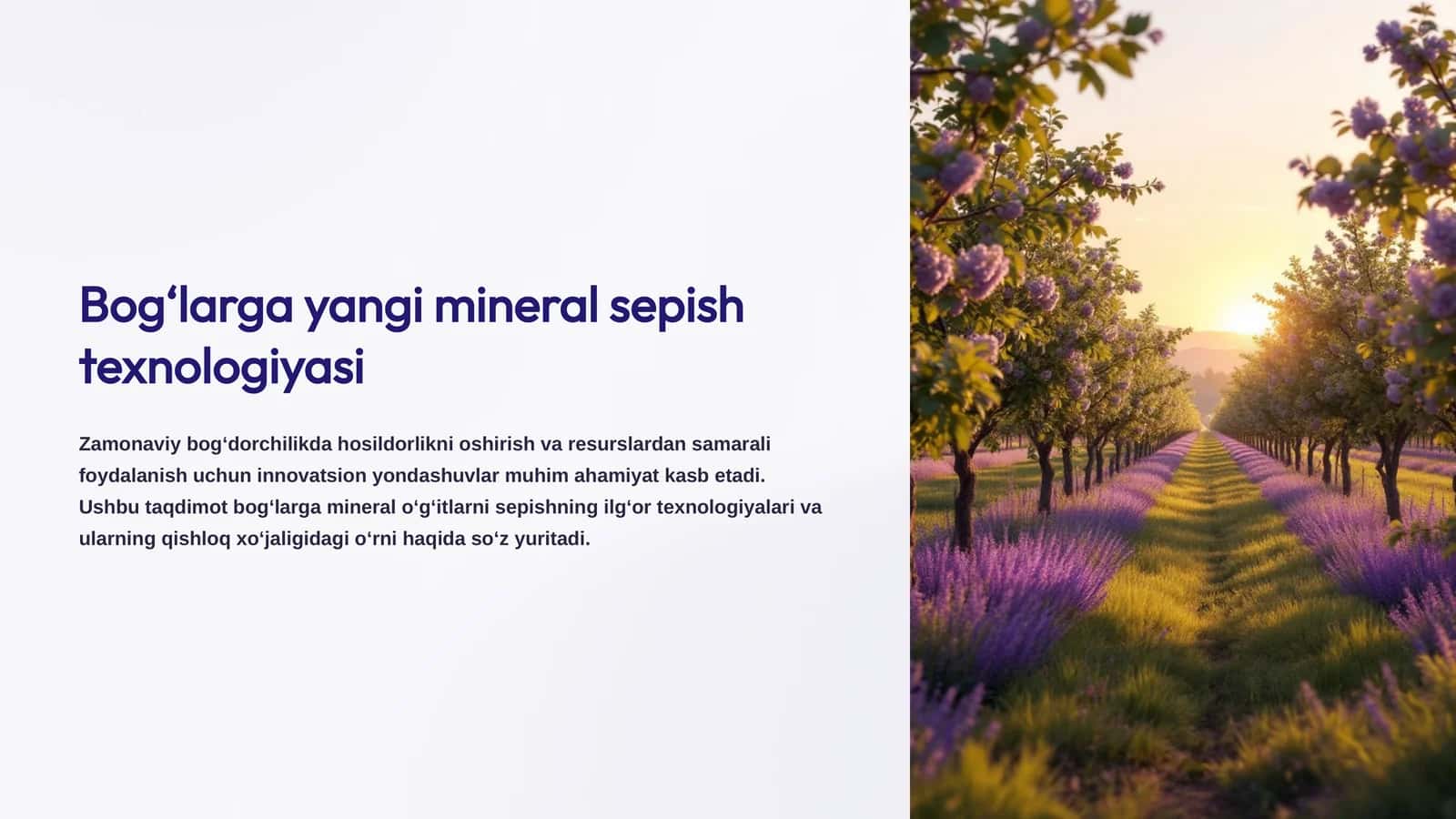 Bog‘larga yangi mineral sepish texnologiyasi