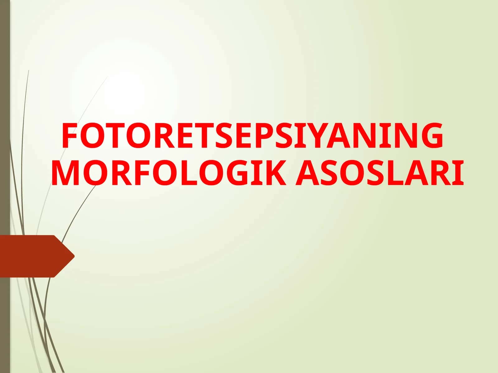 FOTORETSEPSIYANING MORFOLOGIK ASOSLARI