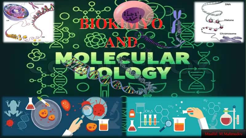 BIOLOGIK KIMYO VA MOLEKULYAR BIOLOGIYA FANINING BOSHQA FANLAR BILAN ALOQASI