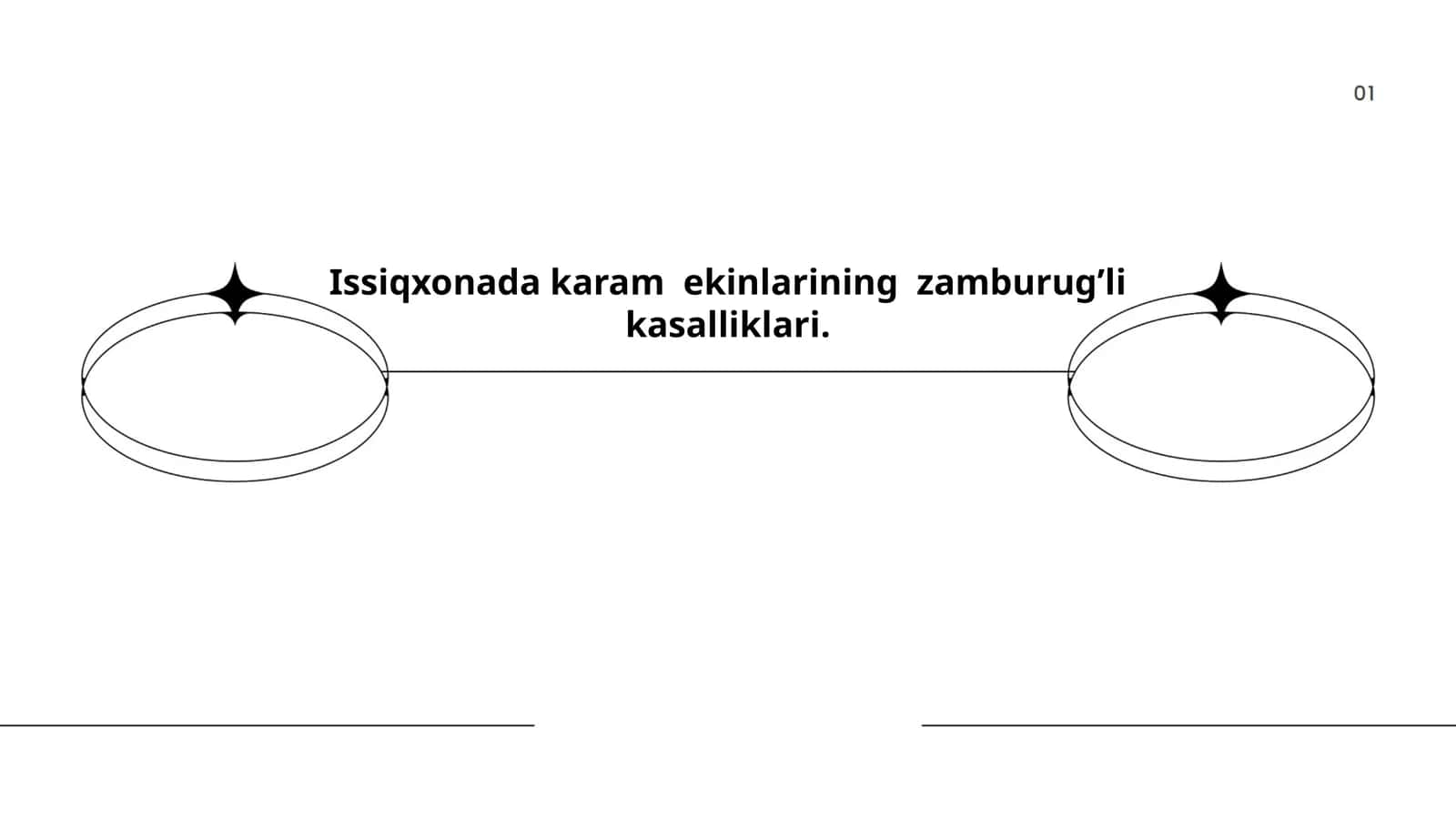 Issiqxonada karam ekinlarining zamburug’li kasalliklari